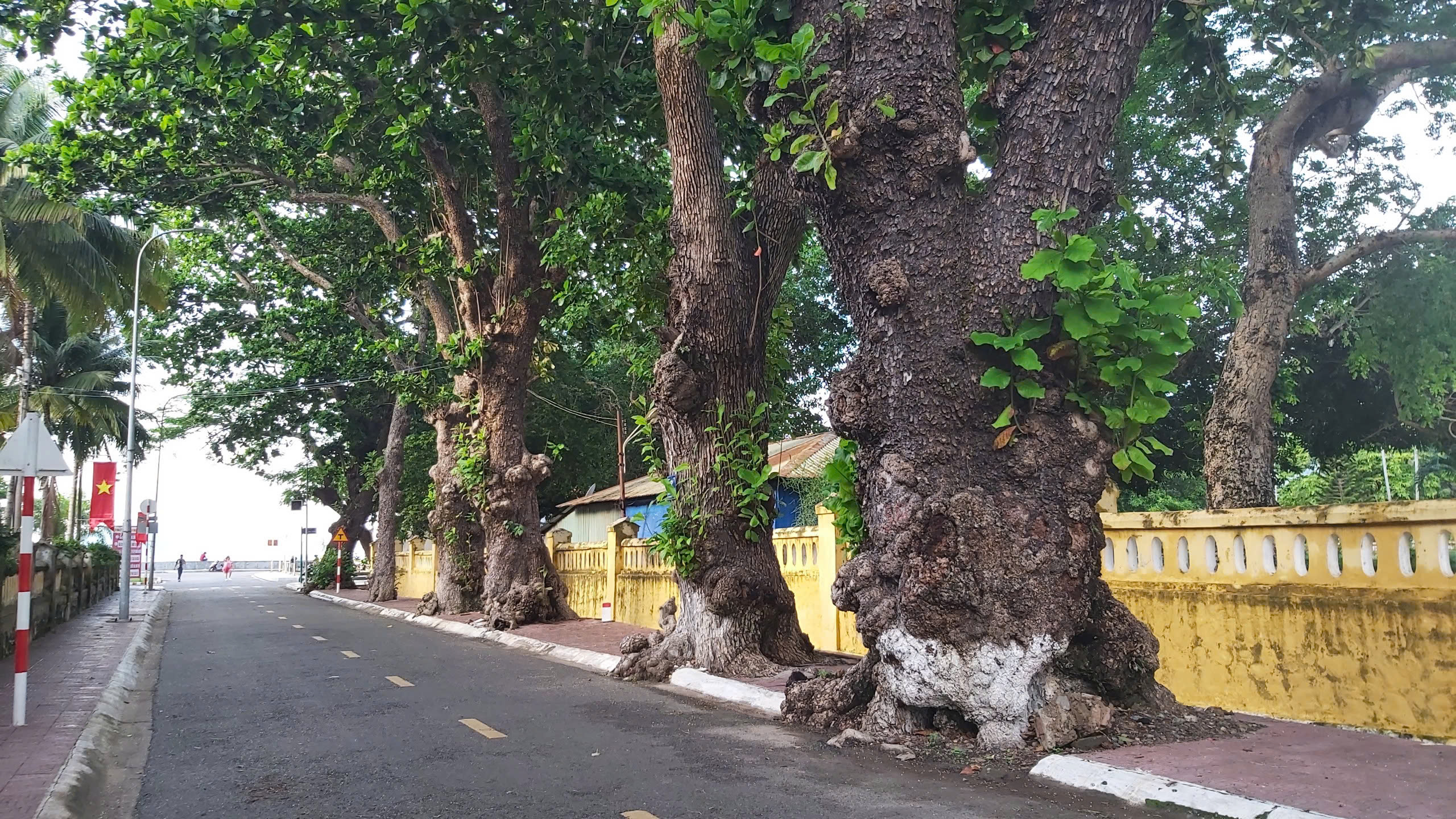 Hàng loạt chương trình nghệ thuật, ẩm thực thu hút khách đến Bà Rịa - Vũng Tàu- Ảnh 5.